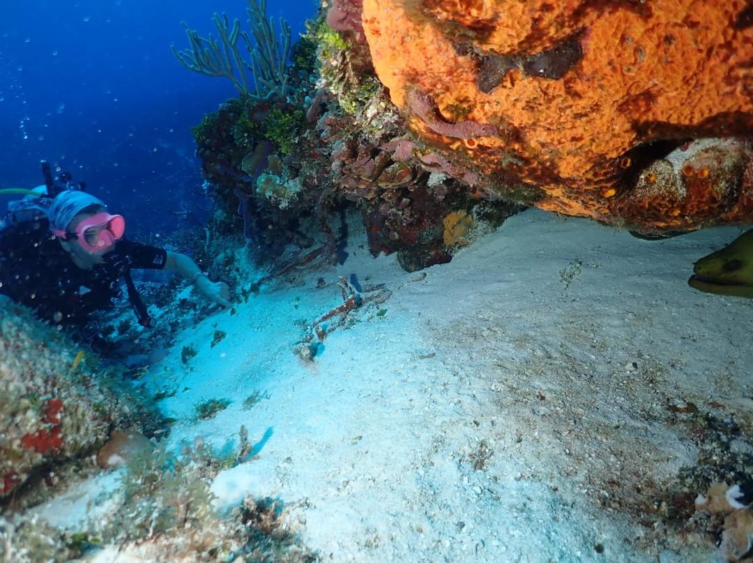 Parque Nacional  Arrecifes de Cozumel景点图片