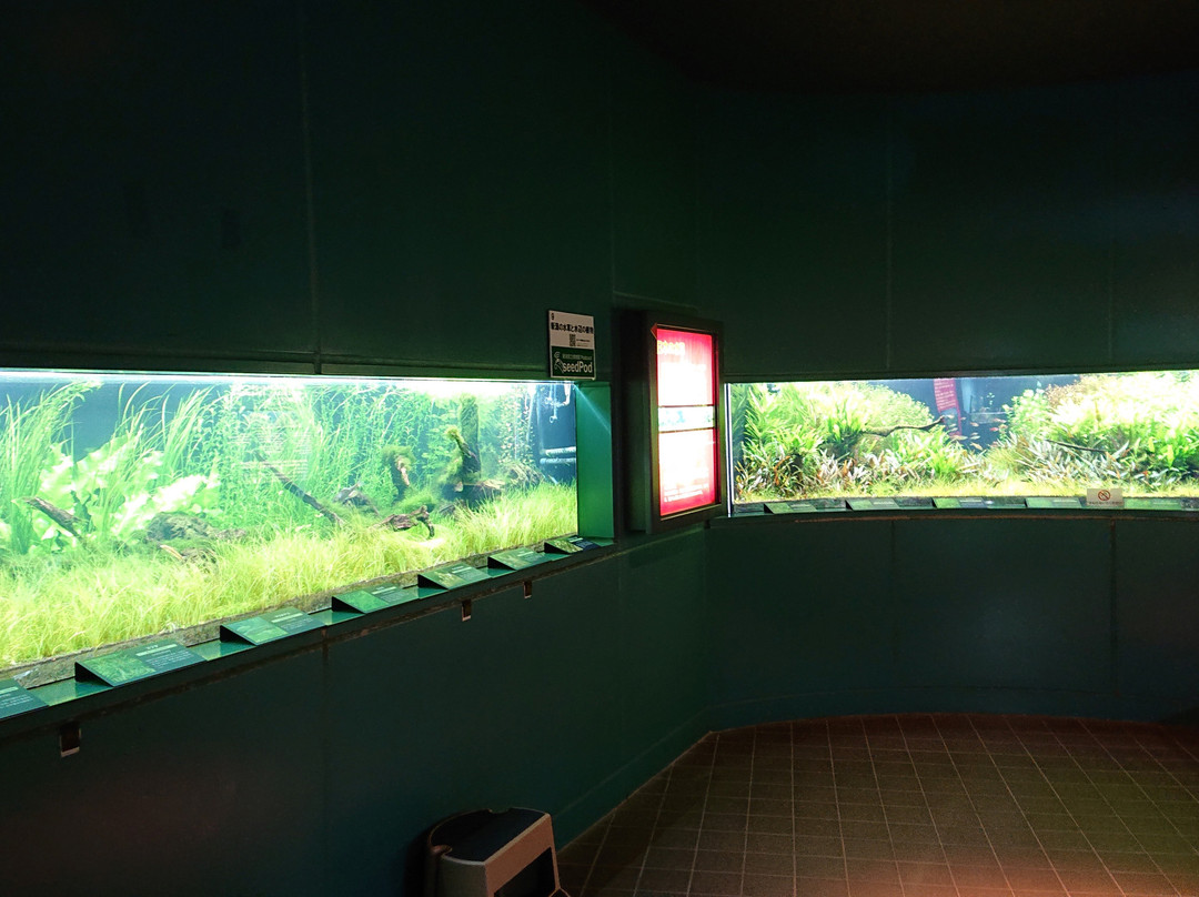 Niigata Prefectural Botanical Gardens景点图片