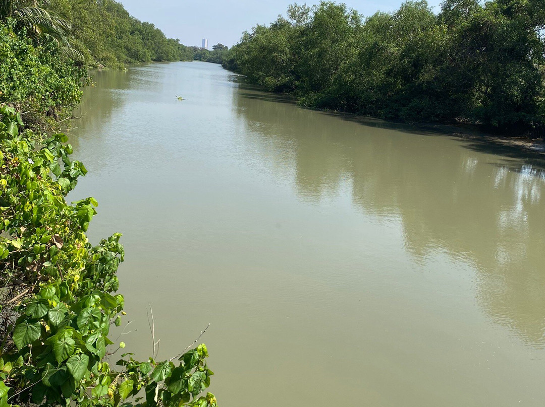 Ekowisata Mangrove Wonorejo-泗水必去景点