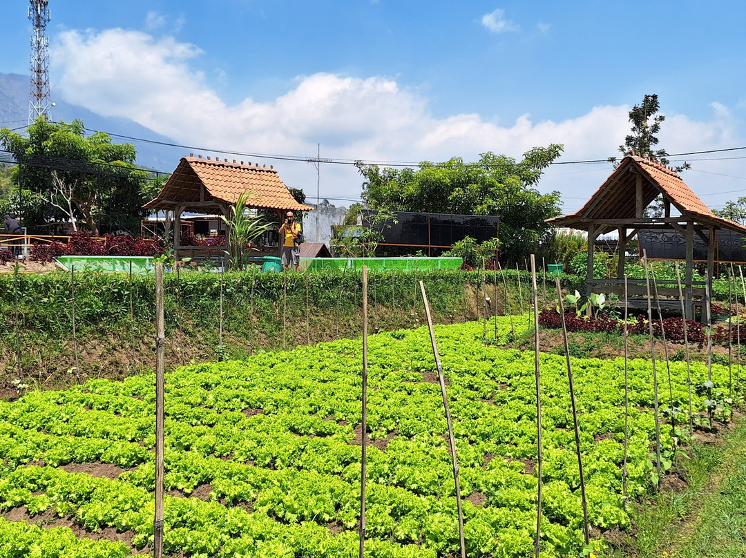 Desa Wisata Pujon Kidul景点图片