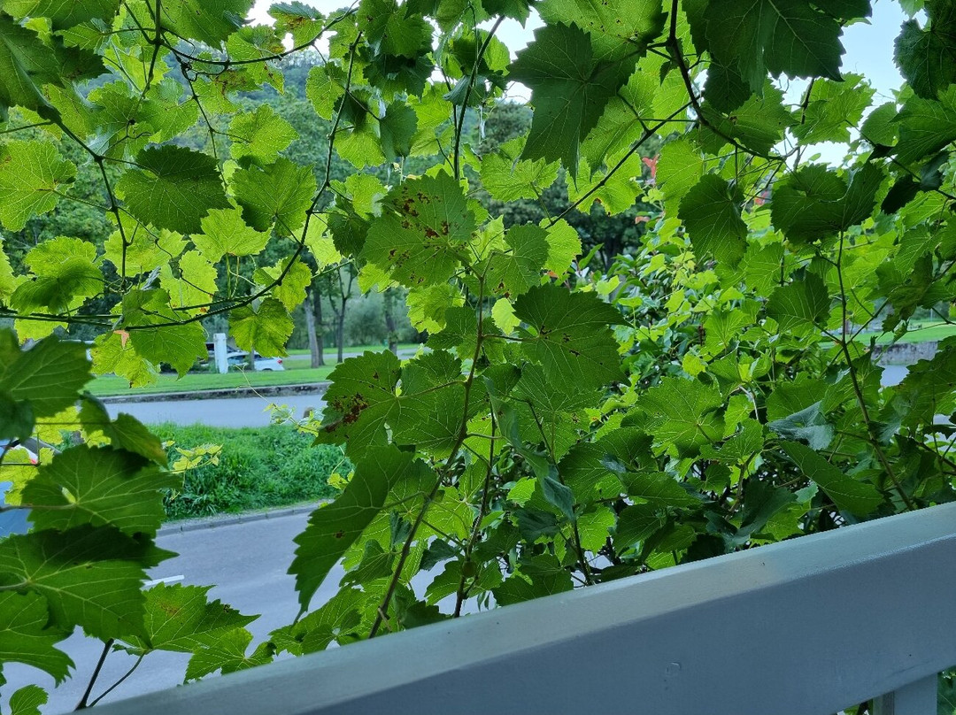 祖姆安科酒店主图