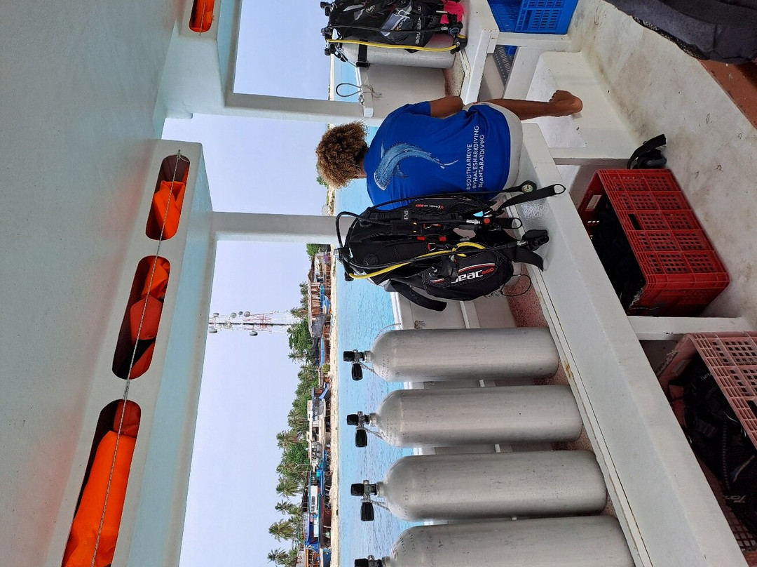 South Ari Dive Center主图