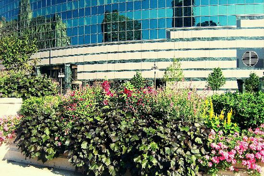 333 West Wacker Drive-芝加哥必去景点