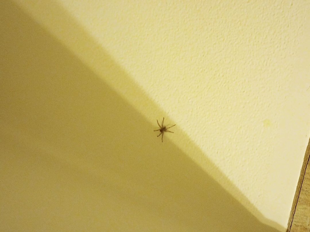 Comfort Inn & Suites主图