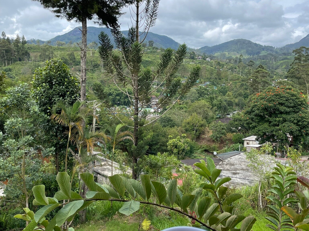 Princess of Dickoya主图