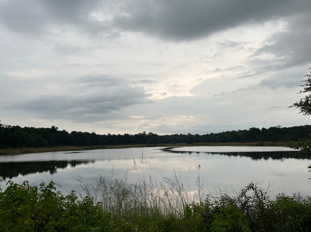 Tuli Veer Bagh Resort & Spa主图