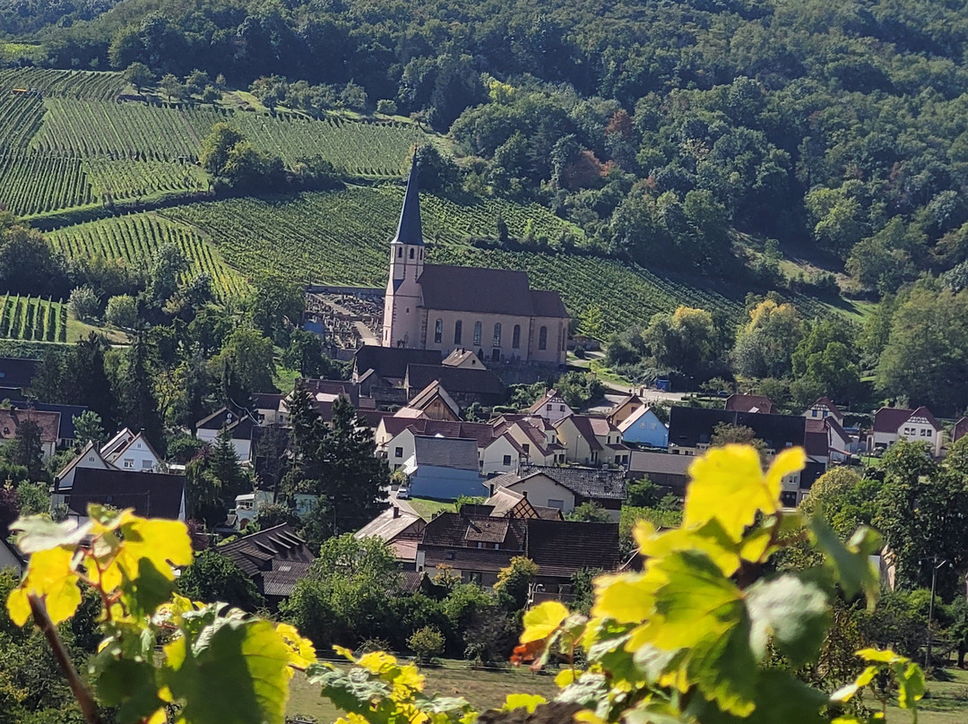Domaine Wach景点图片