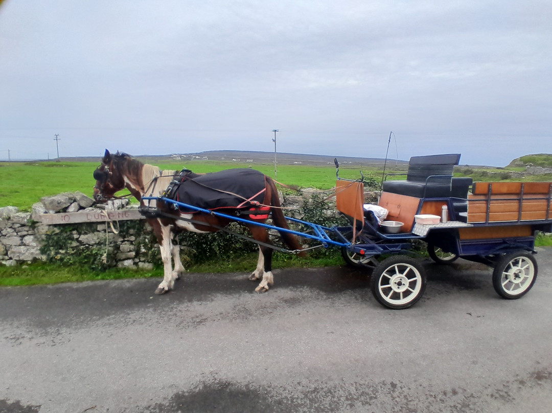 Inis Mor Horse Carriage tours景点图片
