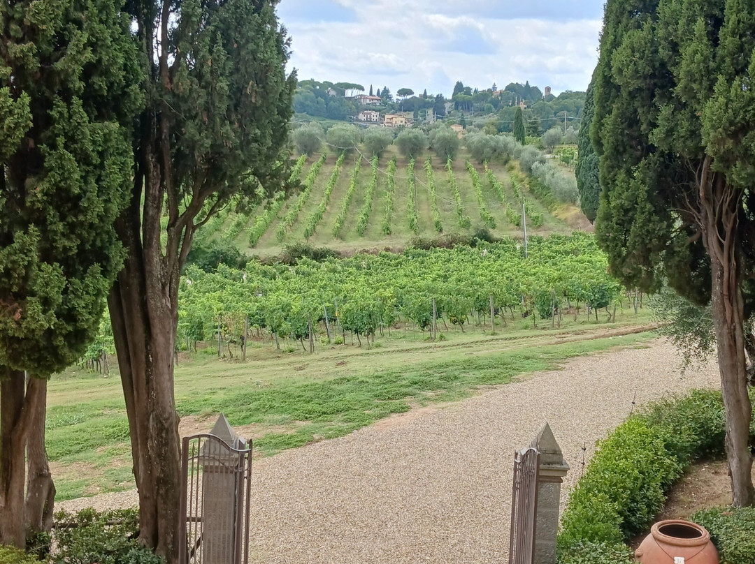 Guido's Tours - Wine Tours in Tuscany-佛罗伦萨必去景点