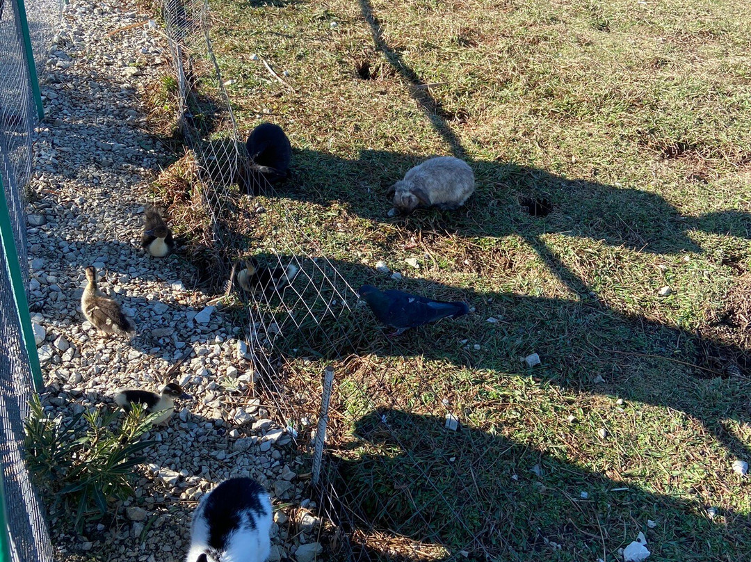 Natural Ornithological Park in the  Imereti Lowland-索契必去景点