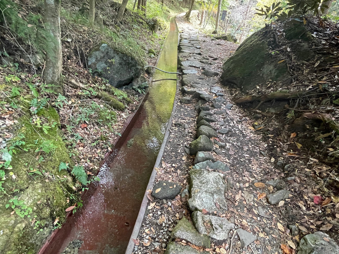 Tsukechi Gorge-中津川市必去景点