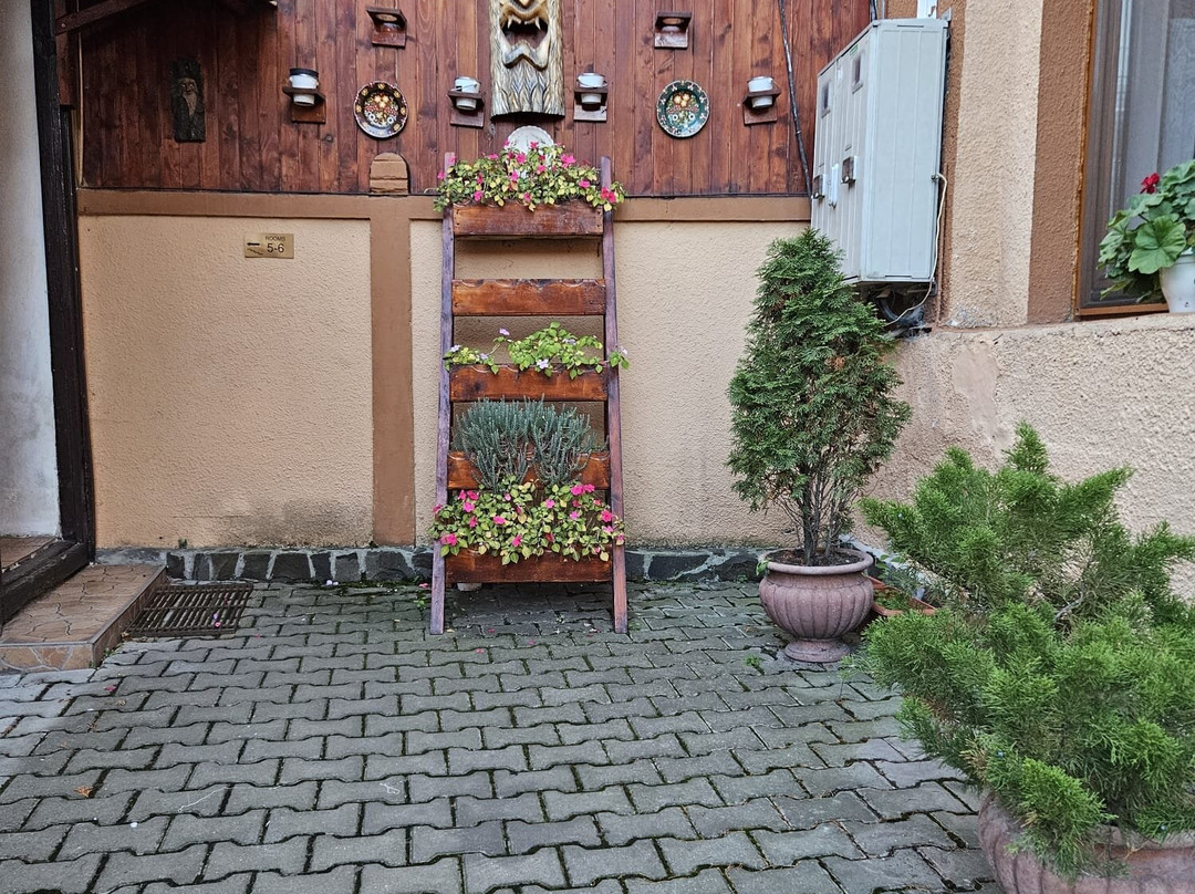 Pensiunea Casa Sighisoreana主图