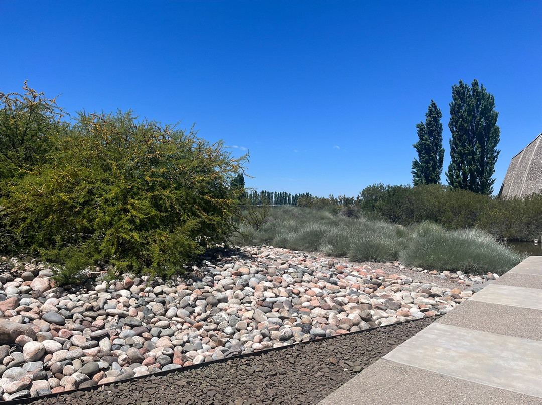 Bodega Zuccardi Valle de Uco景点图片