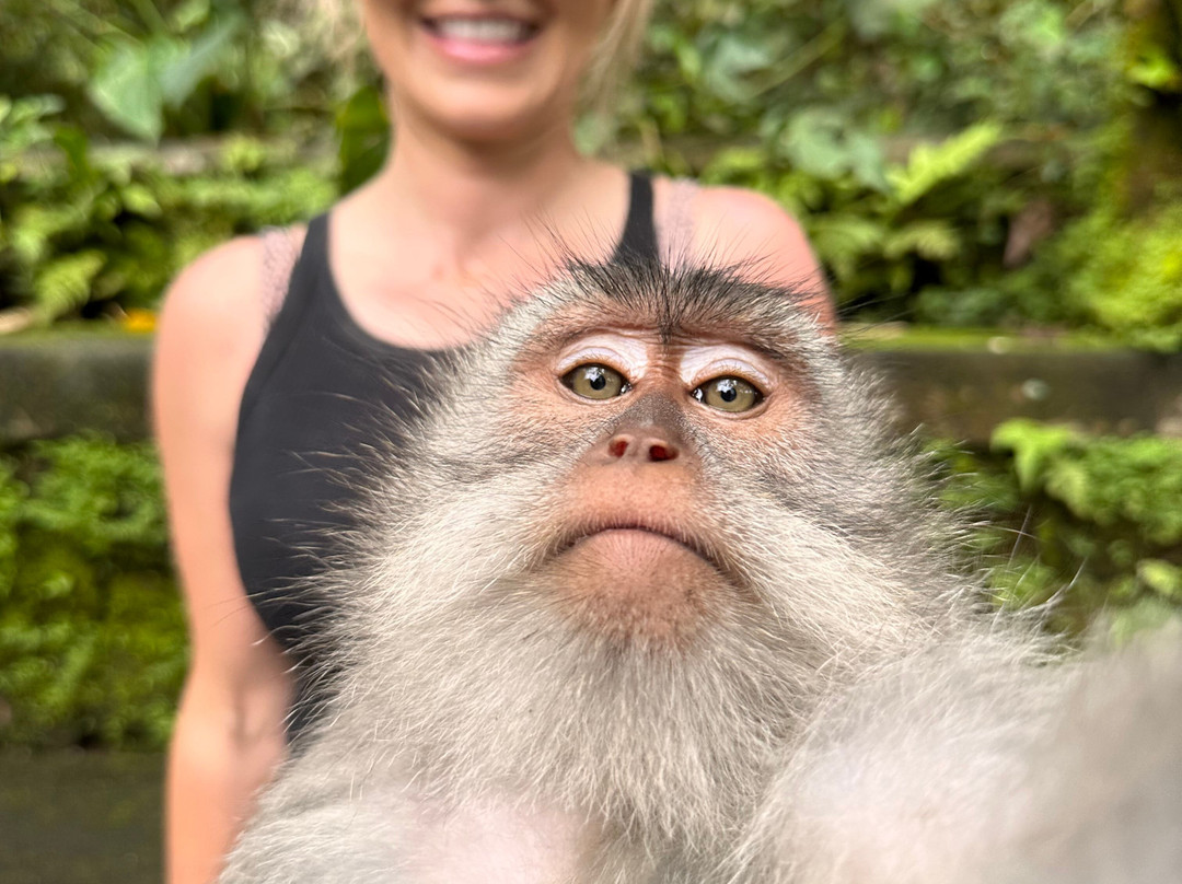 Bds Tour Travel Services-登巴萨必去景点