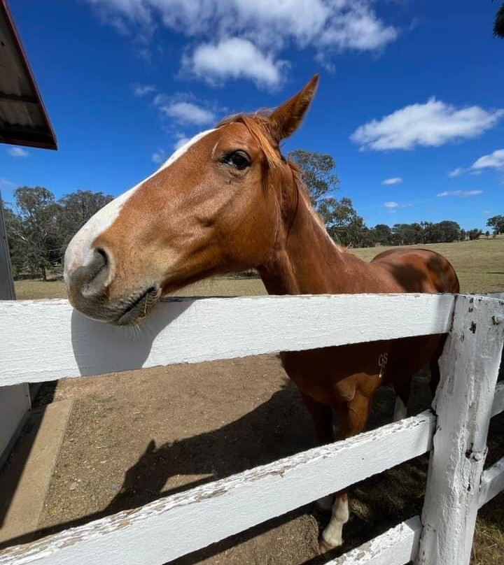 Gooree Park-马奇必去景点