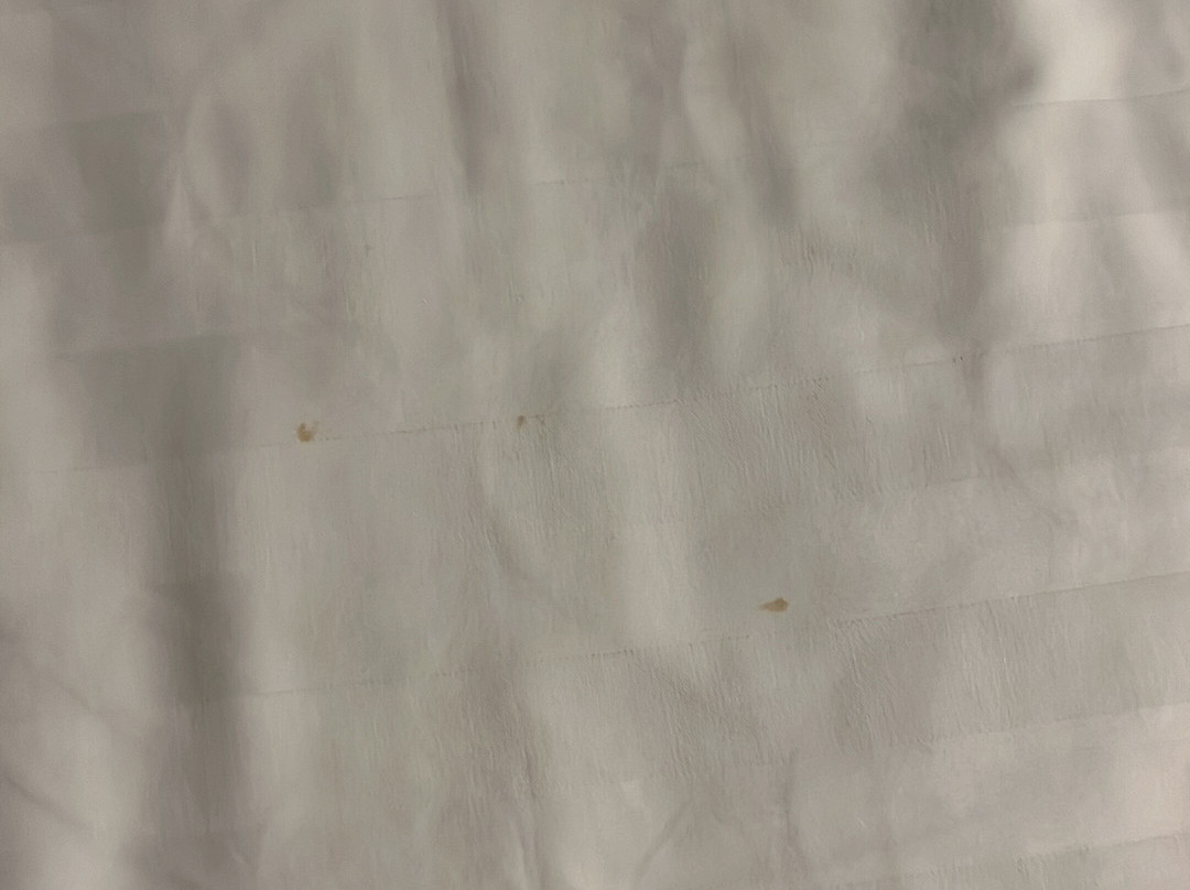 清迈舒适旅馆主图