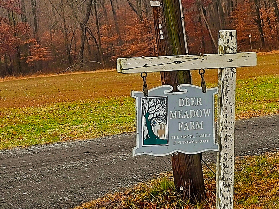 Deer Meadow Farm-Aberdeen必去景点
