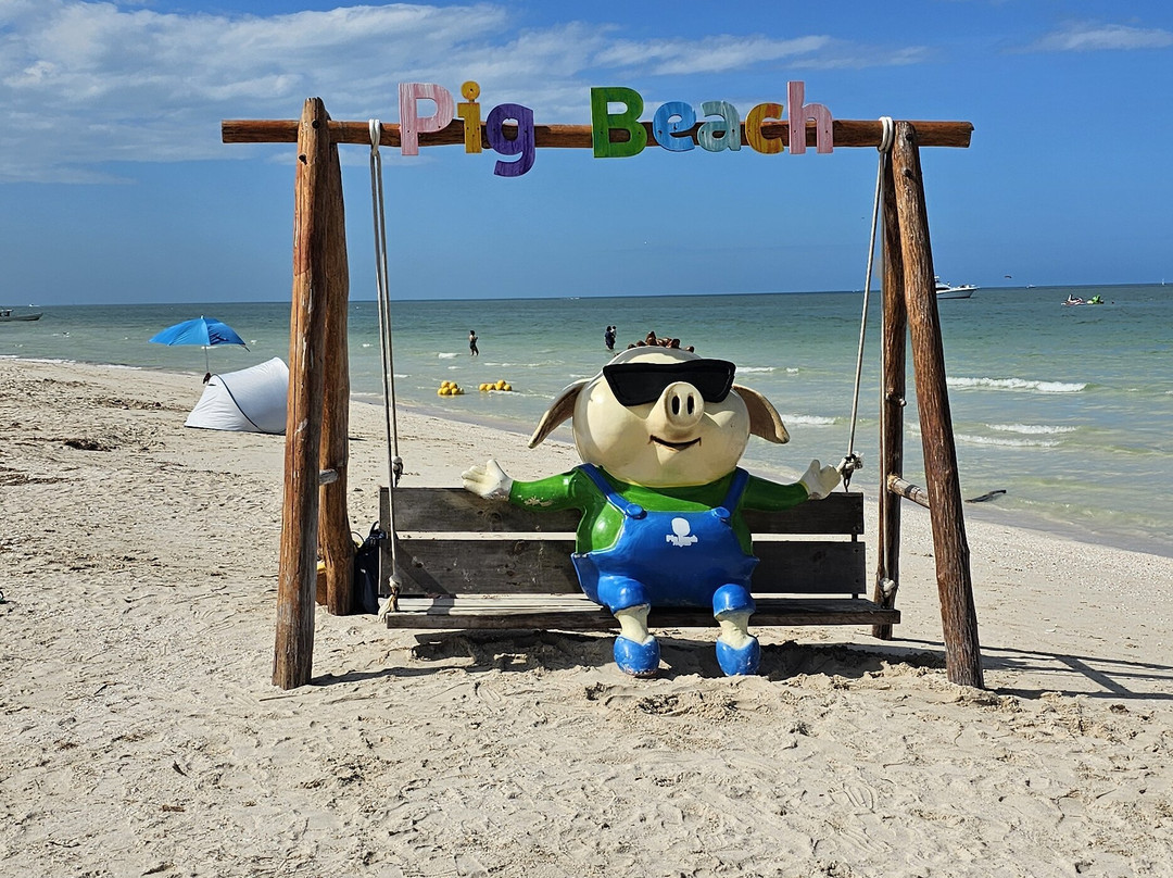 Pig Beach Progreso-Progreso必去景点