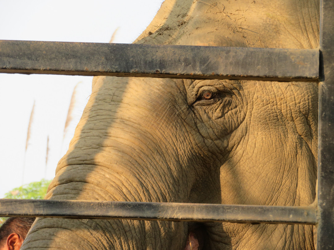 The SU4E Home-苏拉哈必去景点