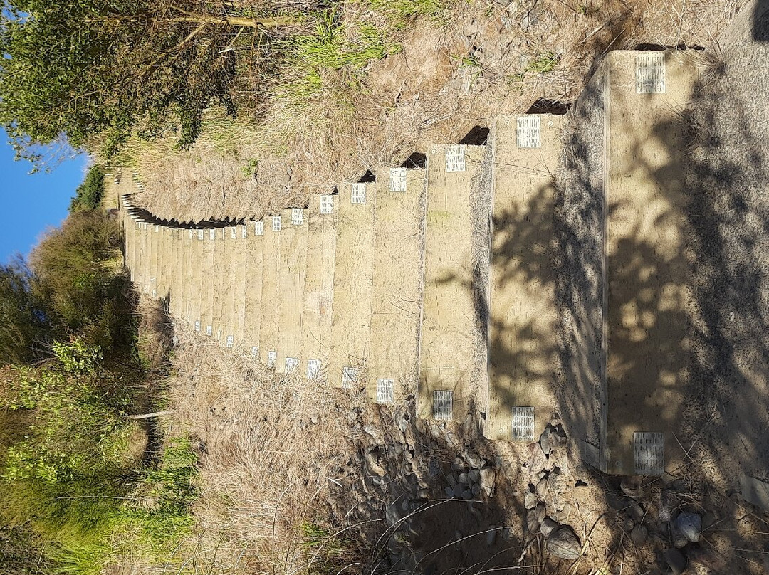 Te Arapiki a Tane-北帕墨斯顿必去景点