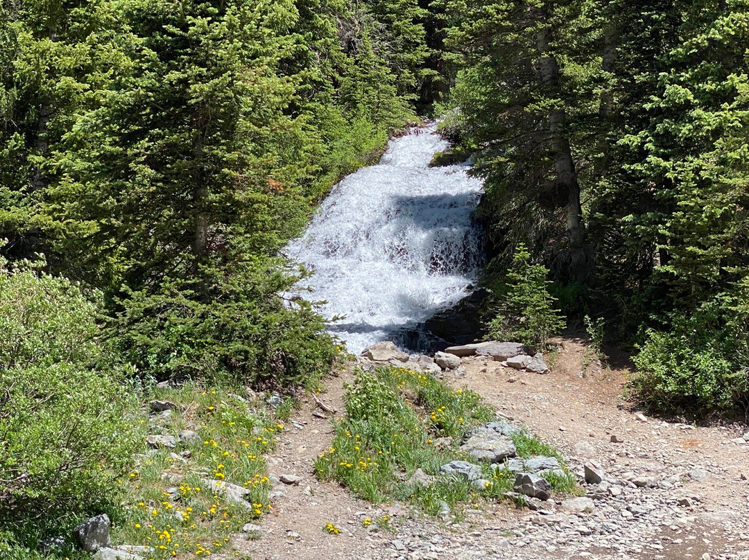 Timber Ridge Lodge主图