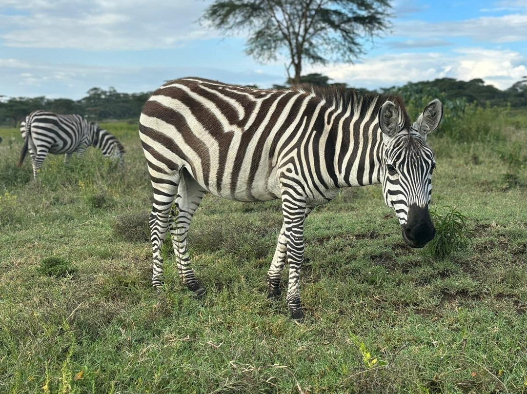 The Safari Side Travel Agency-Iten必去景点