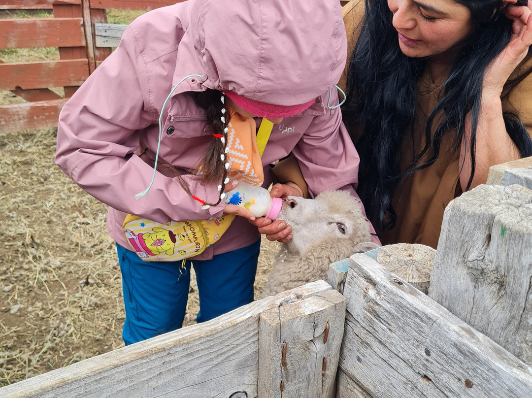 Fundo don Gerardo-Coyhaique必去景点