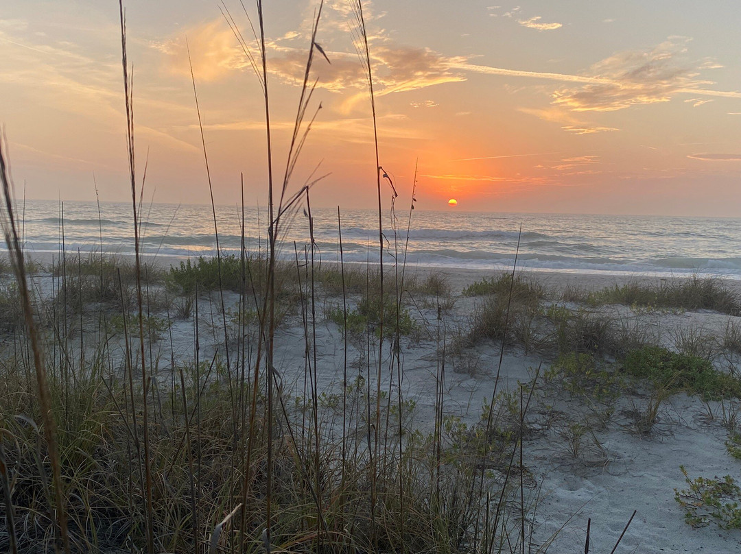 Tradewinds Beach Resort主图