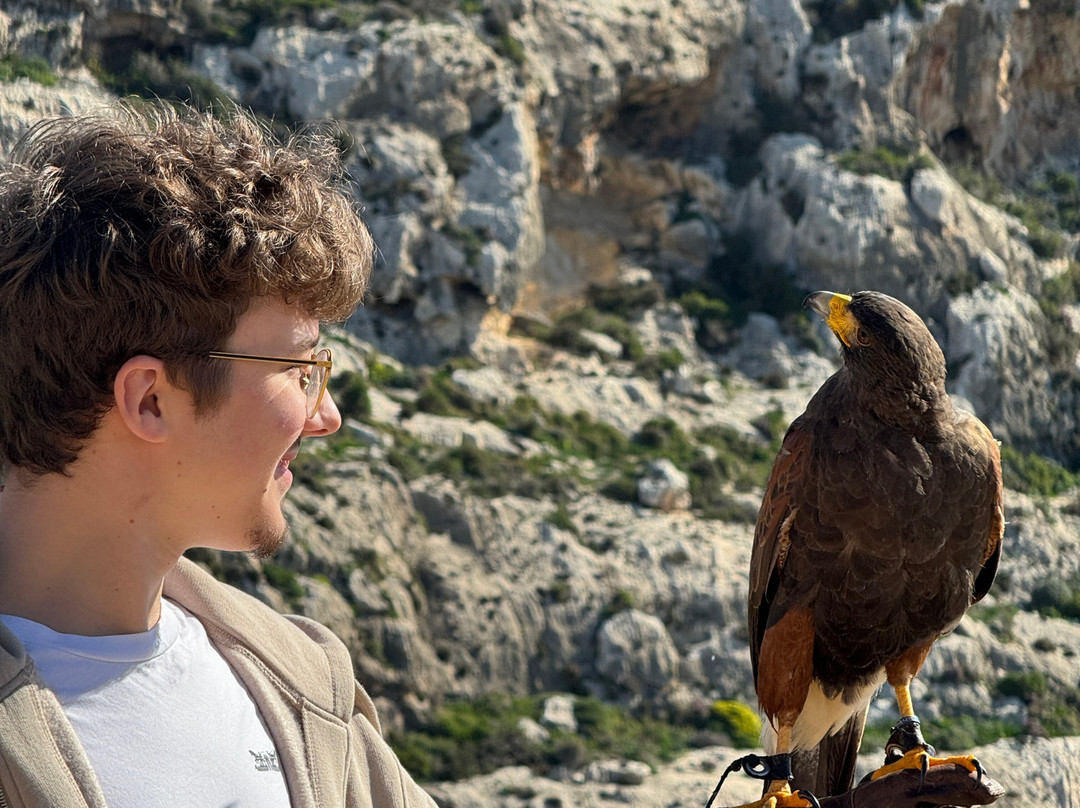 Sharp Sight Falconry-Qrendi必去景点