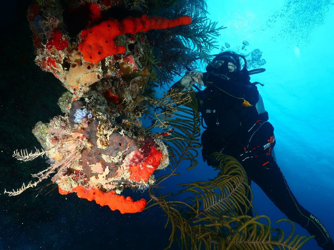 Barracuda Scuba Diving Center景点图片