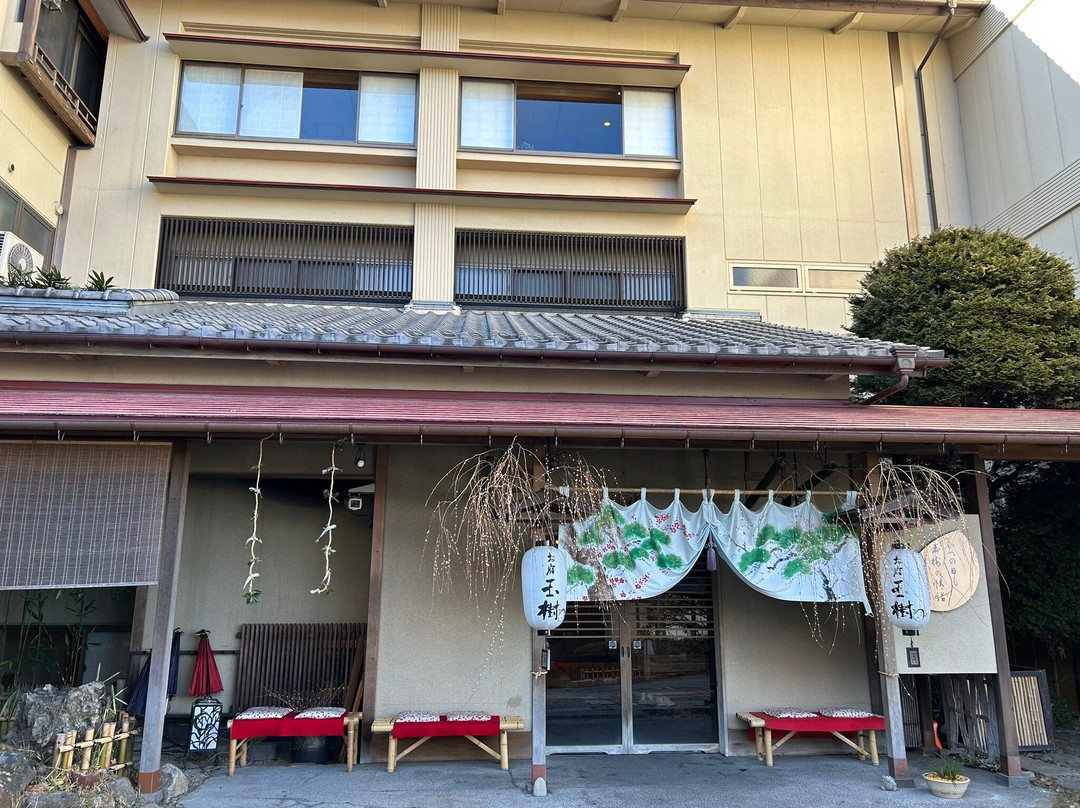 Oyado Tamaki主图