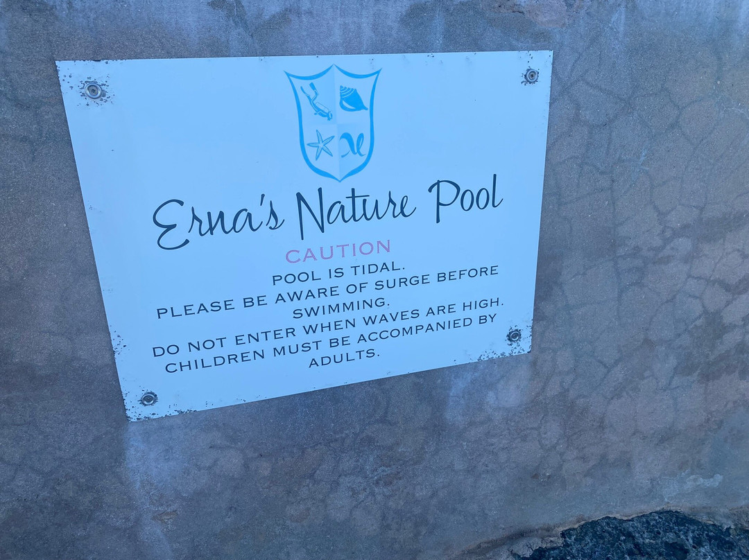 Erna's Nature Pool-长岛必去景点