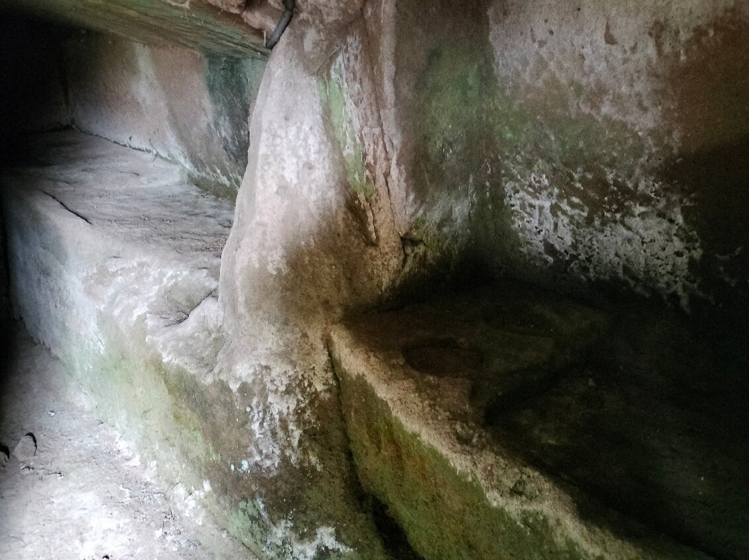Area archeologica Madonna dell'Olivo景点图片