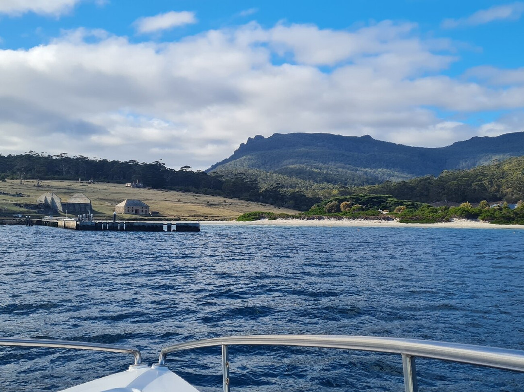 Encounter Maria Island ferry景点图片