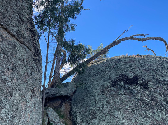 Morgan's Lookout-Walla Walla必去景点