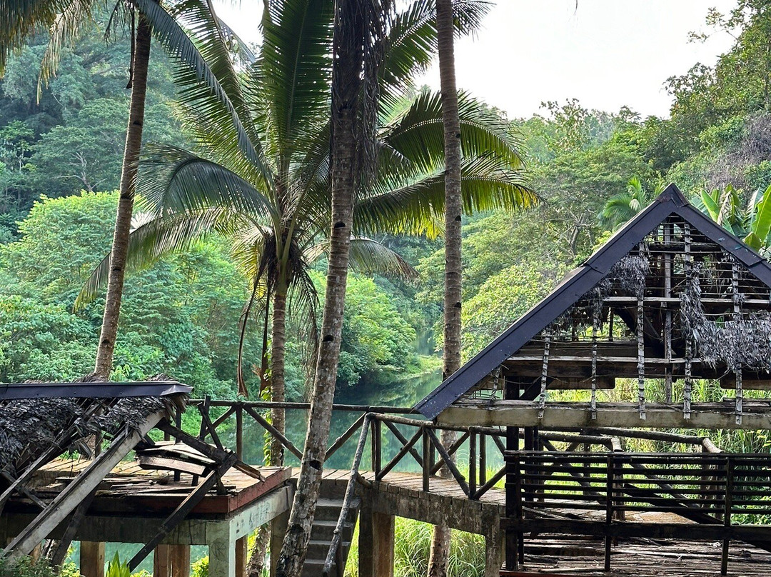 Kawasan Falls Bohol景点图片