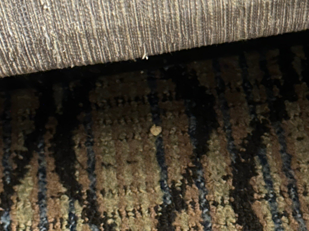 克里斯钦堡快捷假日&套房酒店主图