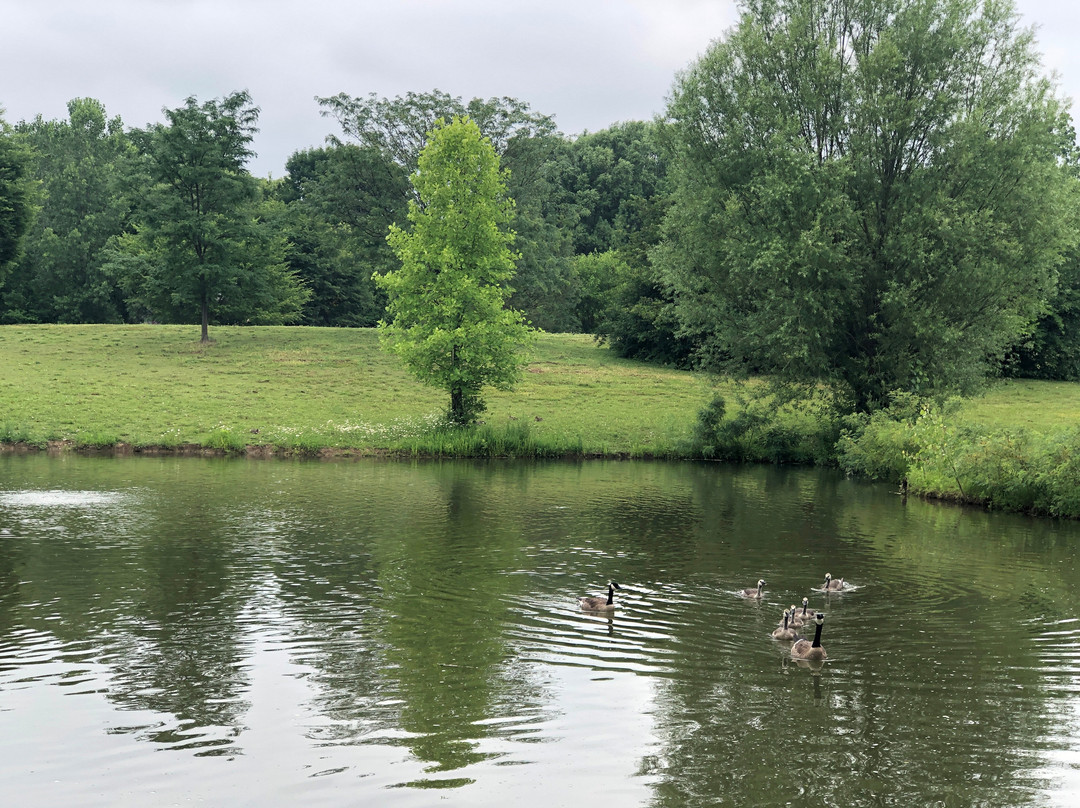 Fort Wayne Zoo-韦恩堡必去景点