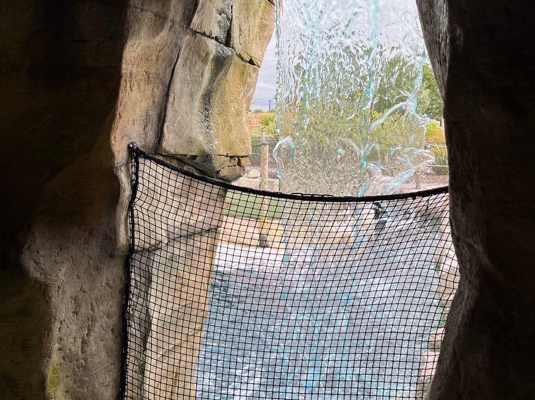 Congo Falls Adventure Golf景点图片