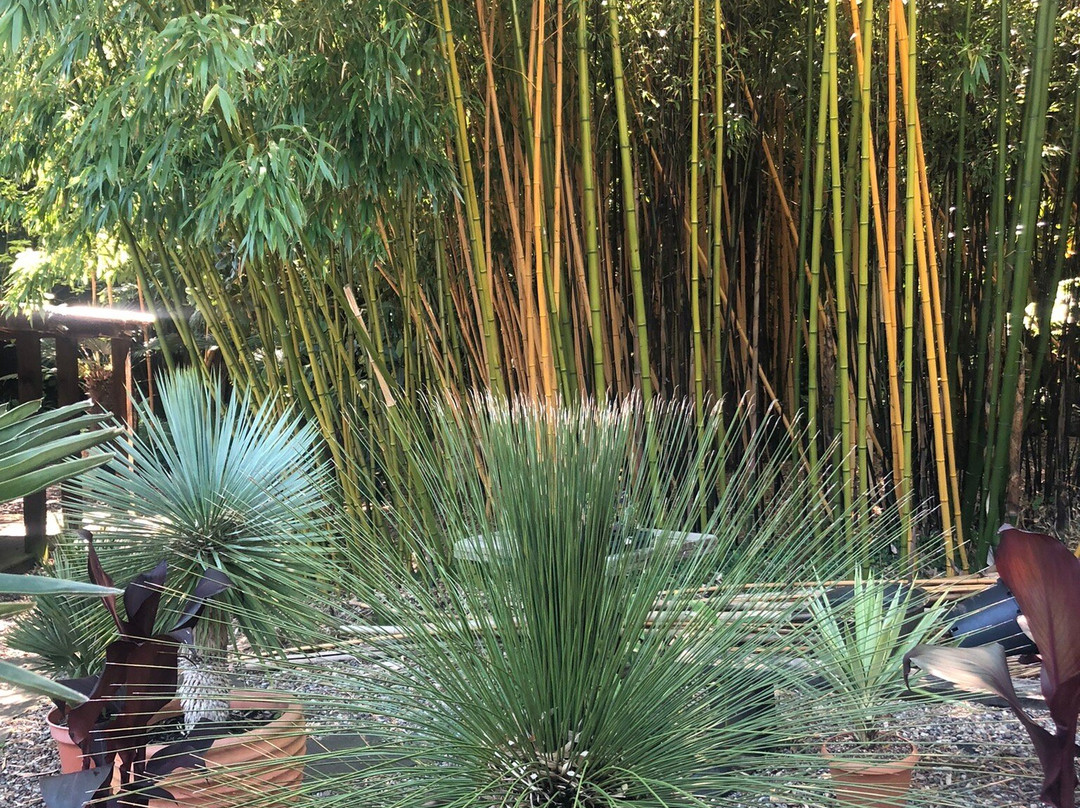 Henstead Exotic Garden-Beccles必去景点