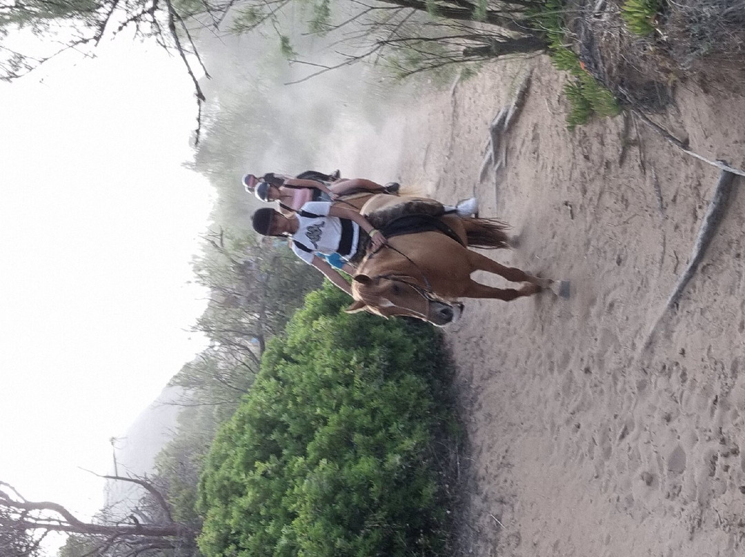 Maneggio Baratz-萨萨里省必去景点