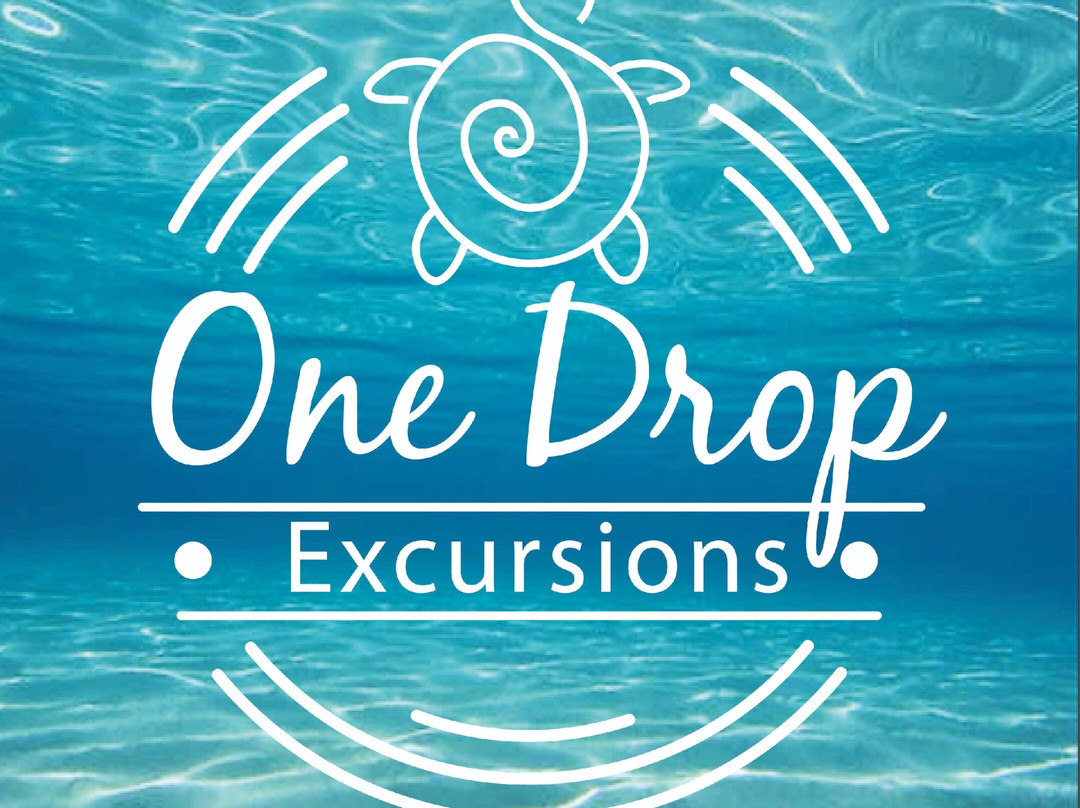 One Drop Excursions
