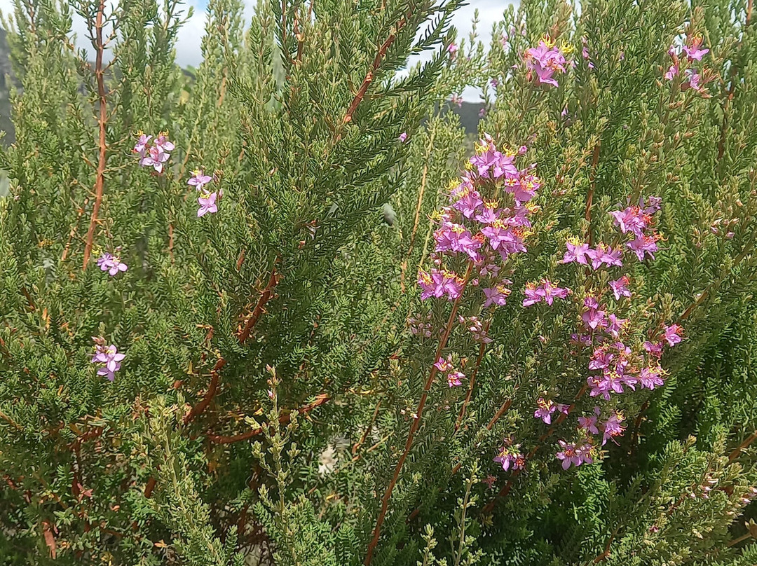 Moça Loira Falls-Mucuge必去景点