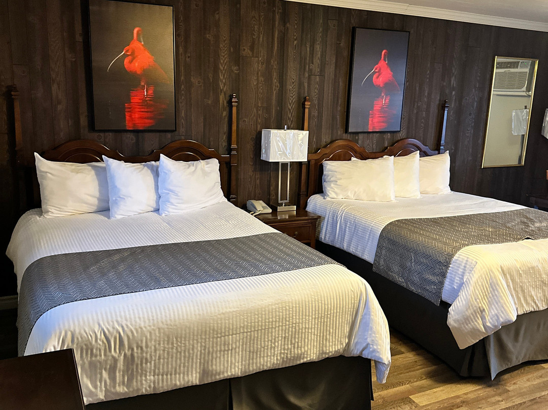 Motel Vue Belvedere主图