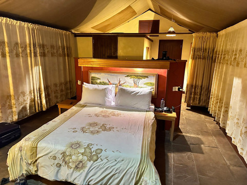 Big Cats Safari-那格浦尔必去景点