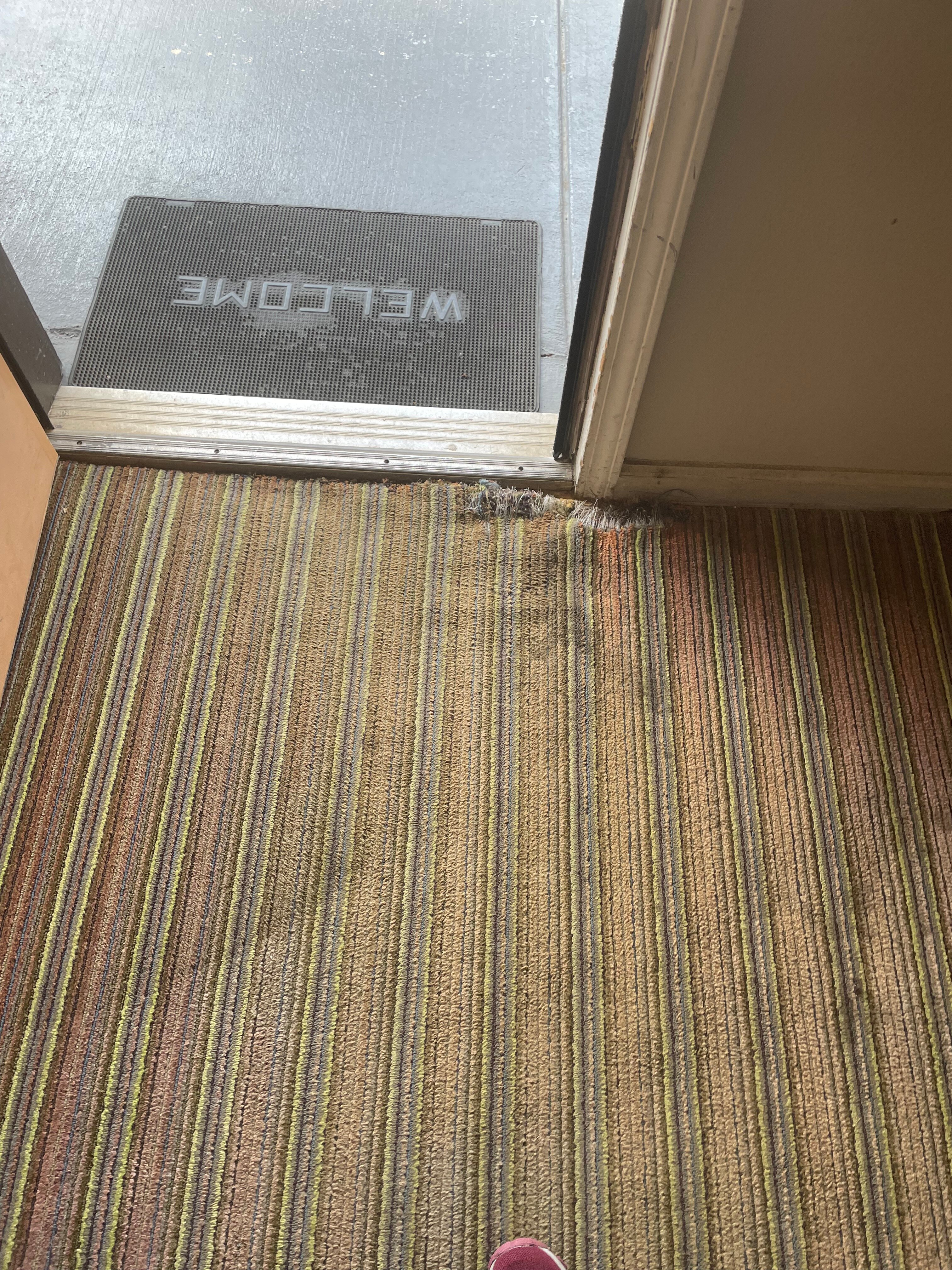 Super 8 by Wyndham Chattanooga Ooltewah-客卧