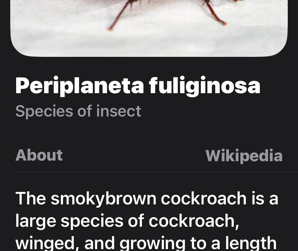 Red Roof Inn & Suites Jacksonville Nc主图