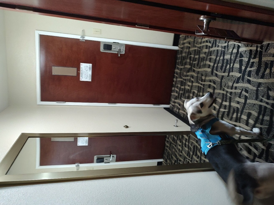 Baymont by Wyndham Caddo Valley/Arkadelphia主图