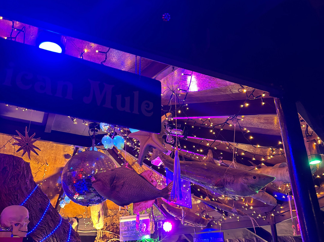 The Jolly Roger-Sissi必去景点