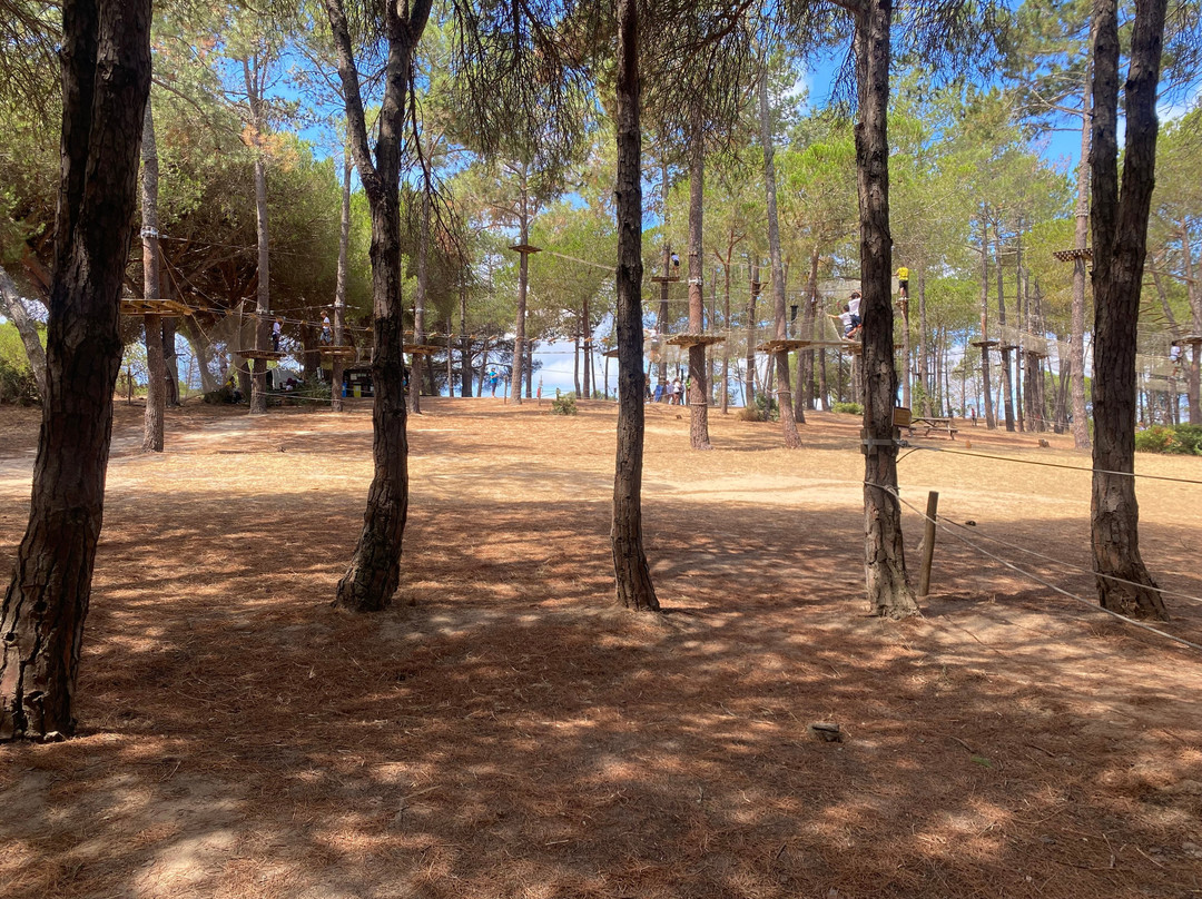 Parque Aventura景点图片